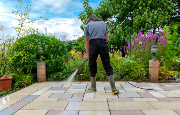 Best Fence Cleaning  in Sandusky, OH